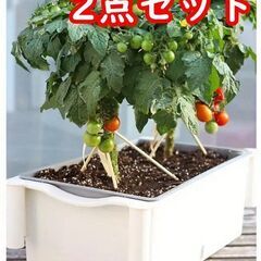 【新品】【2点セット】自動吸水植栽鍋 プランター 育苗ポット 野...