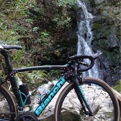 Disc用のロードバイクを譲ってください！