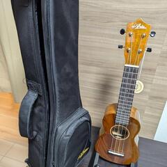 ほぼ未使用 Aria AU-1HK ハワイアンコアオール単板 ソプラノの画像