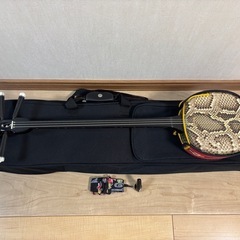 金城三線店］蛇皮 沖縄三線 ハードケースつき - 和楽器