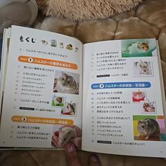 ハムスターの飼い方育て方の画像