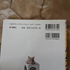 ハムスターの飼い方育て方の画像