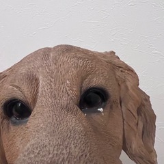 ゴールデンレトリバーの置物の画像