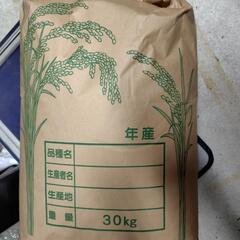 令和6年度 コシヒカリ　玄米