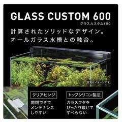 gex aquarista glass custom600 グラフカスタム600の画像