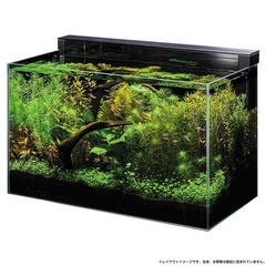 gex aquarista glass custom600 グラフカスタム600の画像