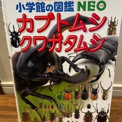 小学館の図鑑NEO カブトムシ　クワガタムシ