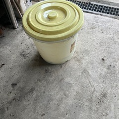 入れ物の画像