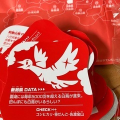 都道府県パズル&カルタの画像
