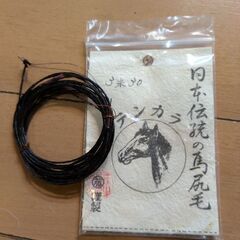 テンカラ　🎣
