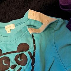 キッズTシャツの画像
