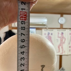 全身骨格モデル　ドイツ製の画像