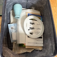 メダカ飼育セットの画像