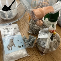 メダカ飼育セットの画像