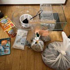 メダカ飼育セット
