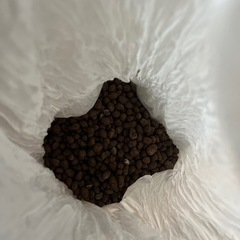 メダカ飼育セットの画像