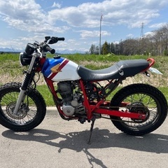 十勝帯広発⭐︎引き取り限定値引き不可⭐︎ホンダFTR223⭐︎自賠R10年５月⭐︎カスタム車⭐︎の画像