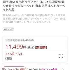 本日受け渡しのみ対応✖️カーペットの画像