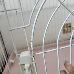 犬用ケージとご希望の方にオマケの画像