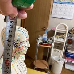 ツボ人形　経絡人形の画像