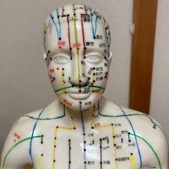 ツボ人形　経絡人形の画像