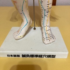 ツボ人形　経絡人形の画像