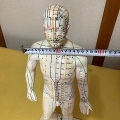 ツボ人形　経絡人形の画像