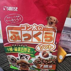 犬用ケージとご希望の方にオマケの画像