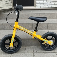 STRIDER ストライダー captain stag