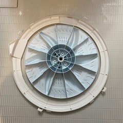 毎日使う洗濯機！10000円で分解洗浄いたします！🧹 - 地元のお店