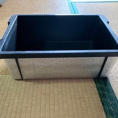 N13？の画像