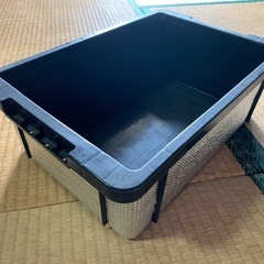 N13？の画像