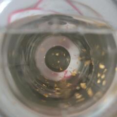 【未開封】月桂冠 御神酒 金箔入り✨ 180mℓの画像