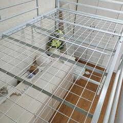 ハイタイプ　ロフトベット　机　棚付きの画像