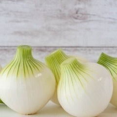 小玉玉ねぎ🧅