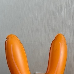 Rody 浮き輪の画像