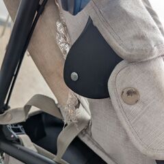 AirBuggy(エアバギー) ココ プレミア フロムバースの画像