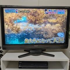 テレビ