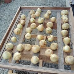 ない、ない、、ない、、、( ﾟдﾟ )ｸﾜｯ!!　パンの食…