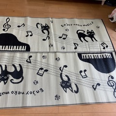 【無料】夏用ゴザ