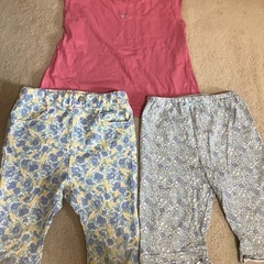 100㎝　peti main他