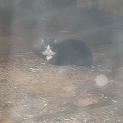 なるはや募集中 − 埼玉県