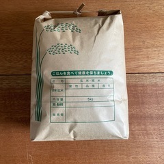2024年 栃木県産コシヒカリ 5kg 玄米