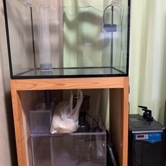 オーバーフロー水槽