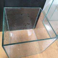 20cmキューブ 水槽 2本 の画像