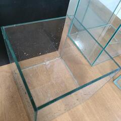 20cmキューブ 水槽 2本 の画像