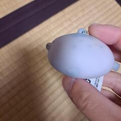 アザラシキーホルダーの画像