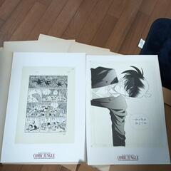 コミック ジャングル漫画ふの画像
