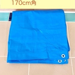 【美品】厚めブルーシート　170cm角 ハトメ付き