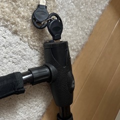 バイクロックチェーンの画像